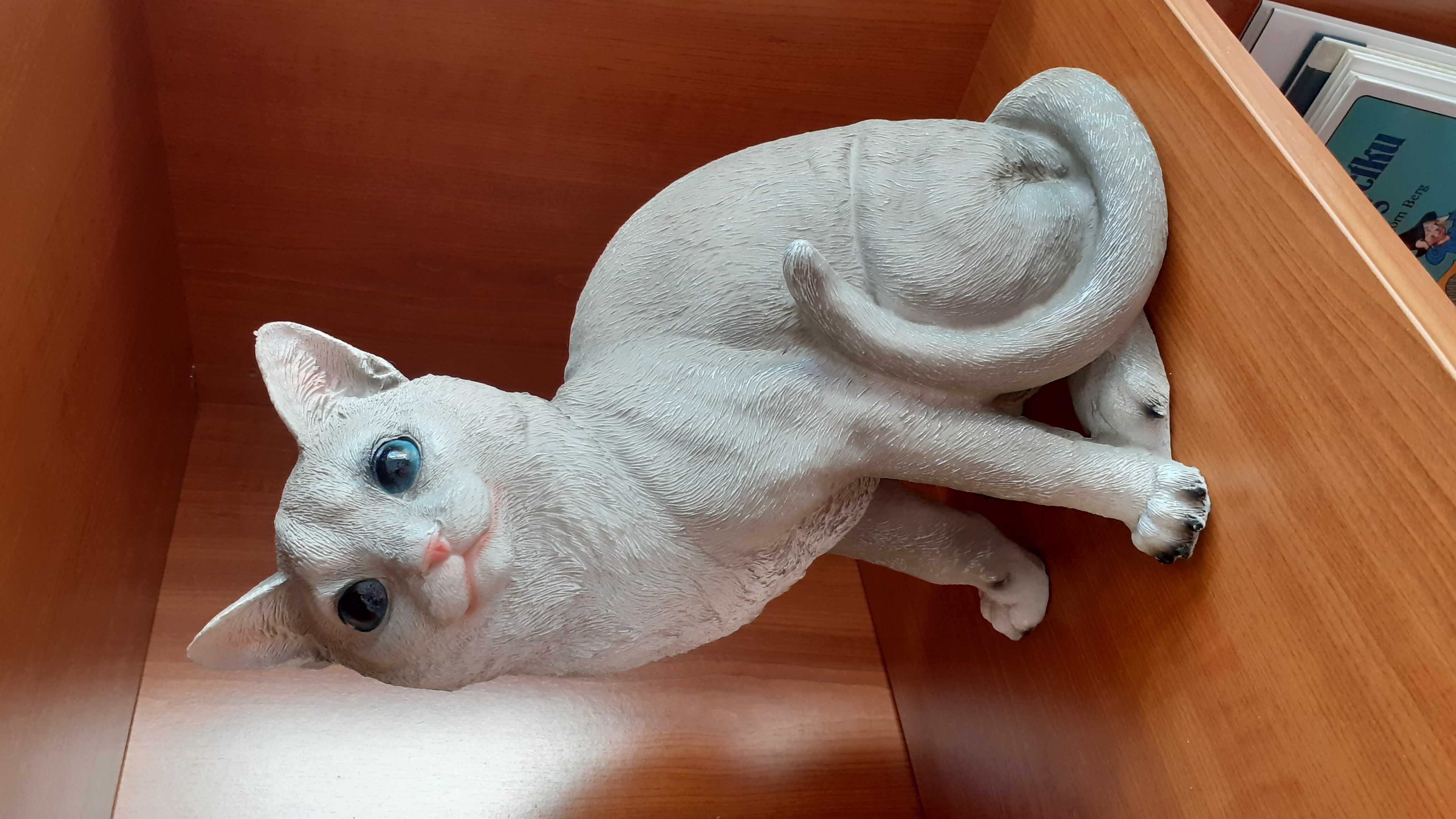 cat space 05 optimized